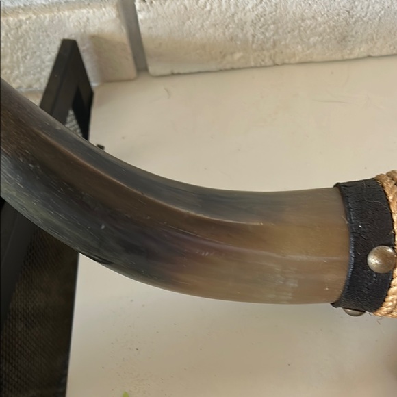 Decorative Wall-Mounted Bull Horns - Picture 8 of 9